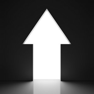 興城市專用燈具有限責任公司