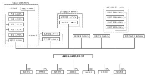 極米投影的網紅之路 業務集中與核心技術的雙重挑戰