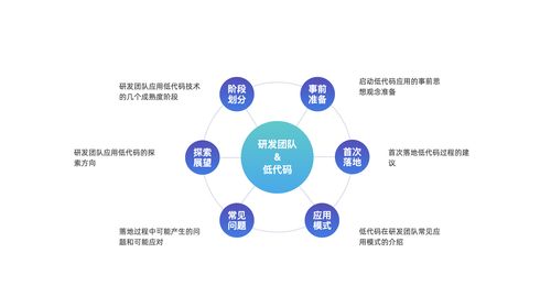 低代碼技術(shù)在研發(fā)團(tuán)隊(duì)的應(yīng)用模式探討 賦能計(jì)算機(jī)軟硬件開(kāi)發(fā)的效率革命